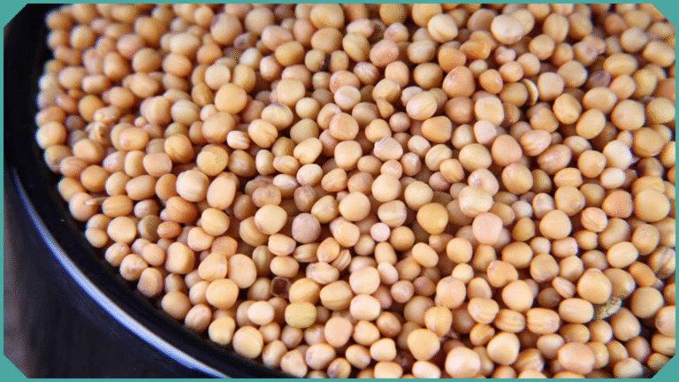 yellow mustard seeds